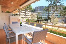 Apartamento en Salou - S308-233 PLAYAMERO FAMILY COMPLEX