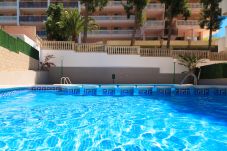 Apartamento en Salou - S204-065 UHC CANCUN APARTMENTS