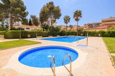 Apartamento en La Pineda - P206-262 UHC AQUA FAMILY COMPLEX