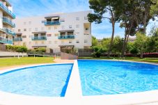 Апартаменты на Ла Пинеда - P306-206 UHC GOLDEN PINEDA APARTMENTS