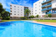 Апартаменты на Ла Пинеда - P306-206 UHC GOLDEN PINEDA APARTMENTS