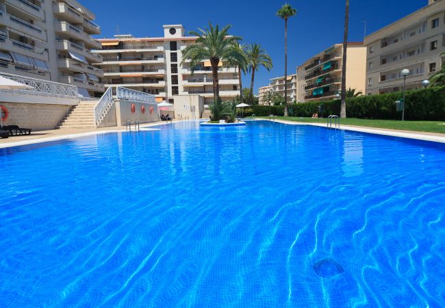 Appartement à La Pineda - P104-290 UHC AQUAMARINA APARTMENTS
